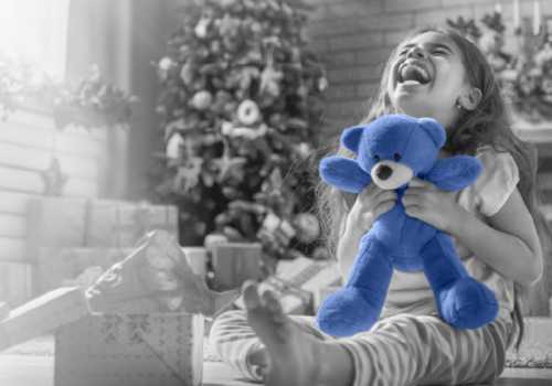 Mid-Atlantic & Holy Cross Toy Drive 2025